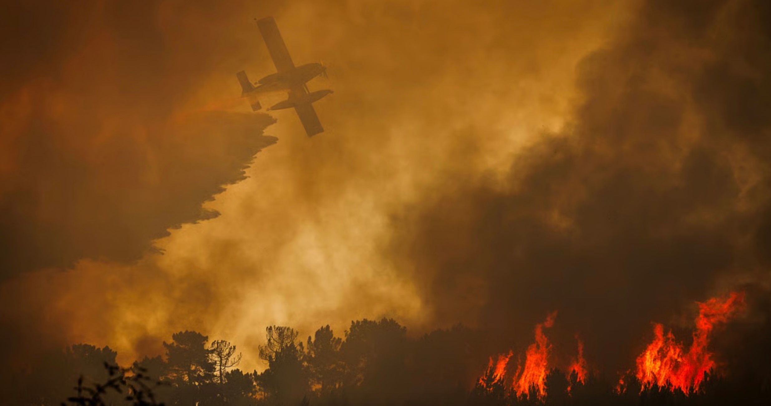 У Португалії масштабна лісова пожежа У Португалії масштабна лісова пожежа