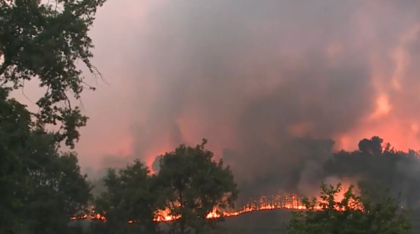 У Португалії борються з лісовою пожежею У Португалії борються з лісовою пожежею