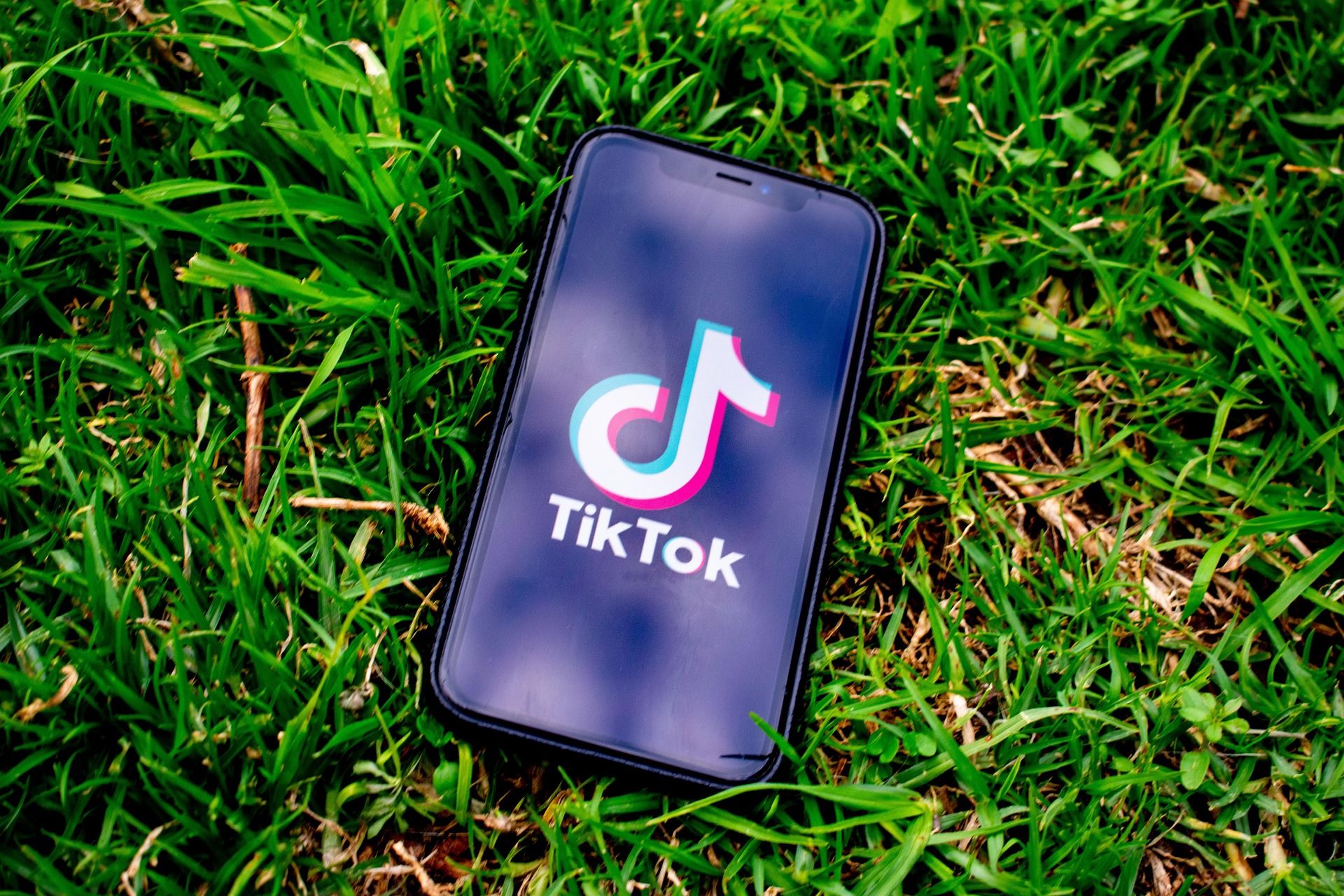 Сколько платят за 10 000 просмотров в TikTok Сколько платят за 10 000 просмотров в TikTok
