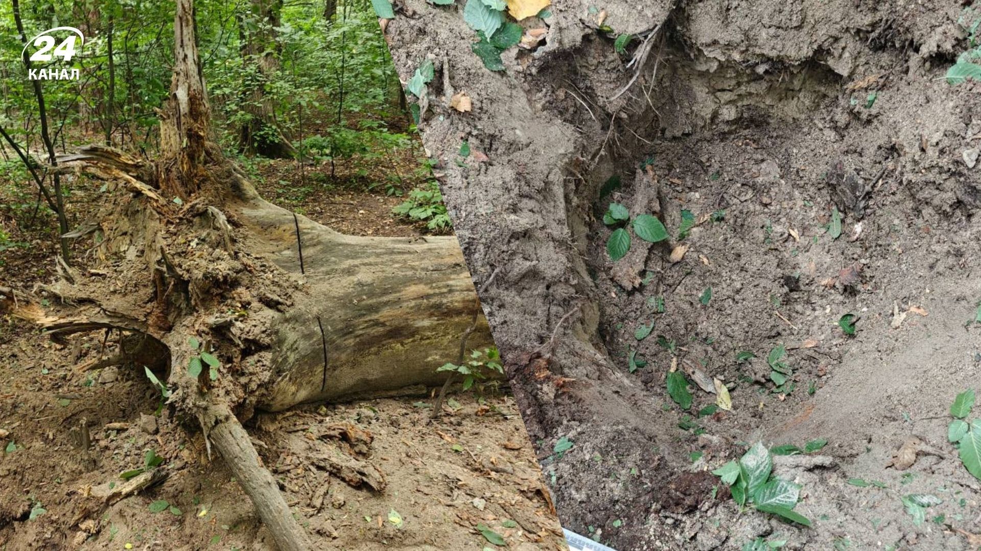 Вирва від вибуху Вирва від вибуху