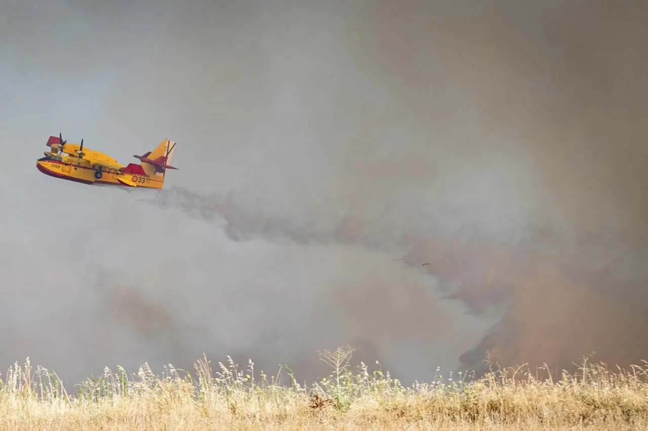 У Іспанії сталися лісові пожежі