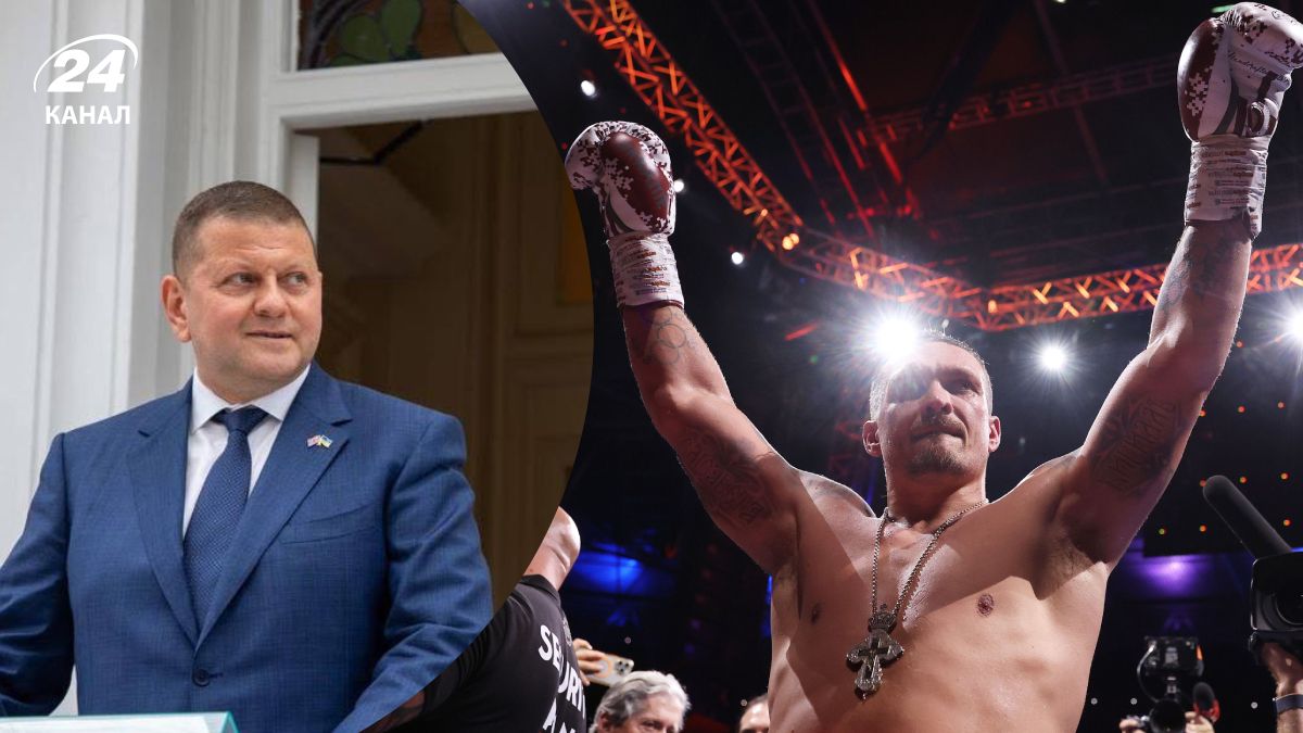Залужный поздравил Усика с победой Залужный поздравил Усика с победой