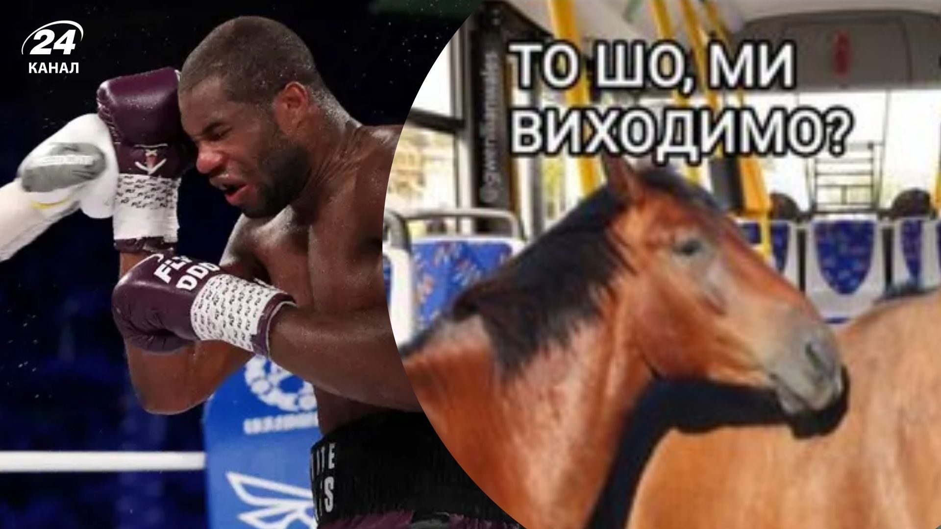 Мемы о бое Усика и Дюбуа о бое Усика и Дюбуа
