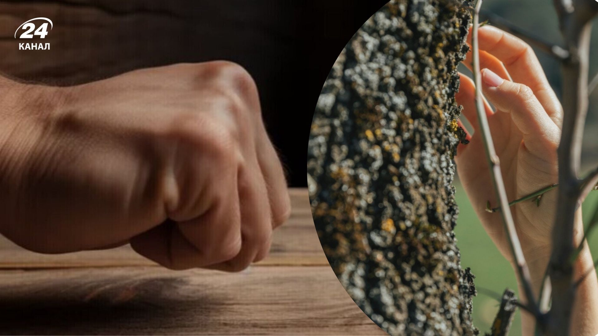 Чи треба стукати по дереву