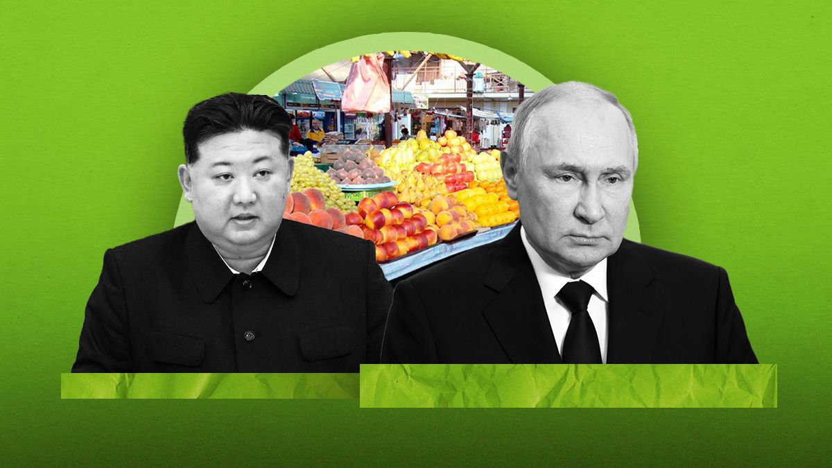 Торговля России с Северной Кореей - чем помогает Пхеньян Кремлю в 2025 году Торговля России с Северной Кореей - чем помогает Пхеньян Кремлю в 2025 году