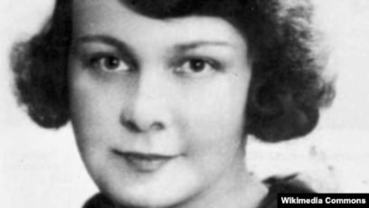 телига - Тренды