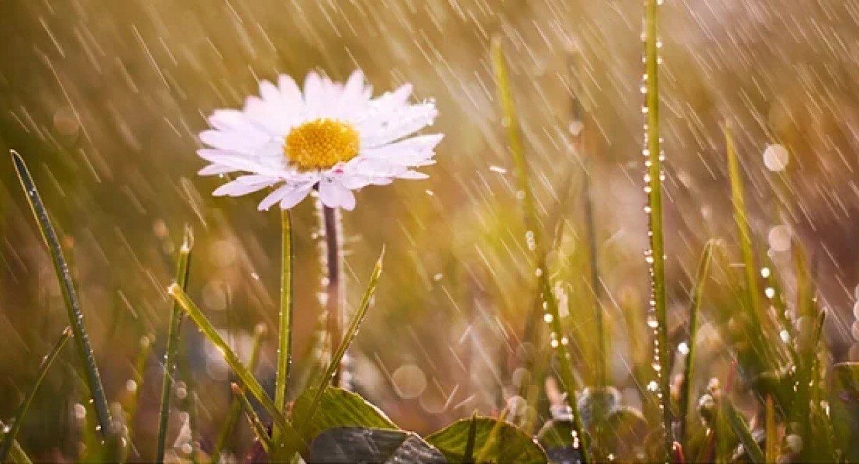 Прогноз погоди в Україні 23 липня 2025