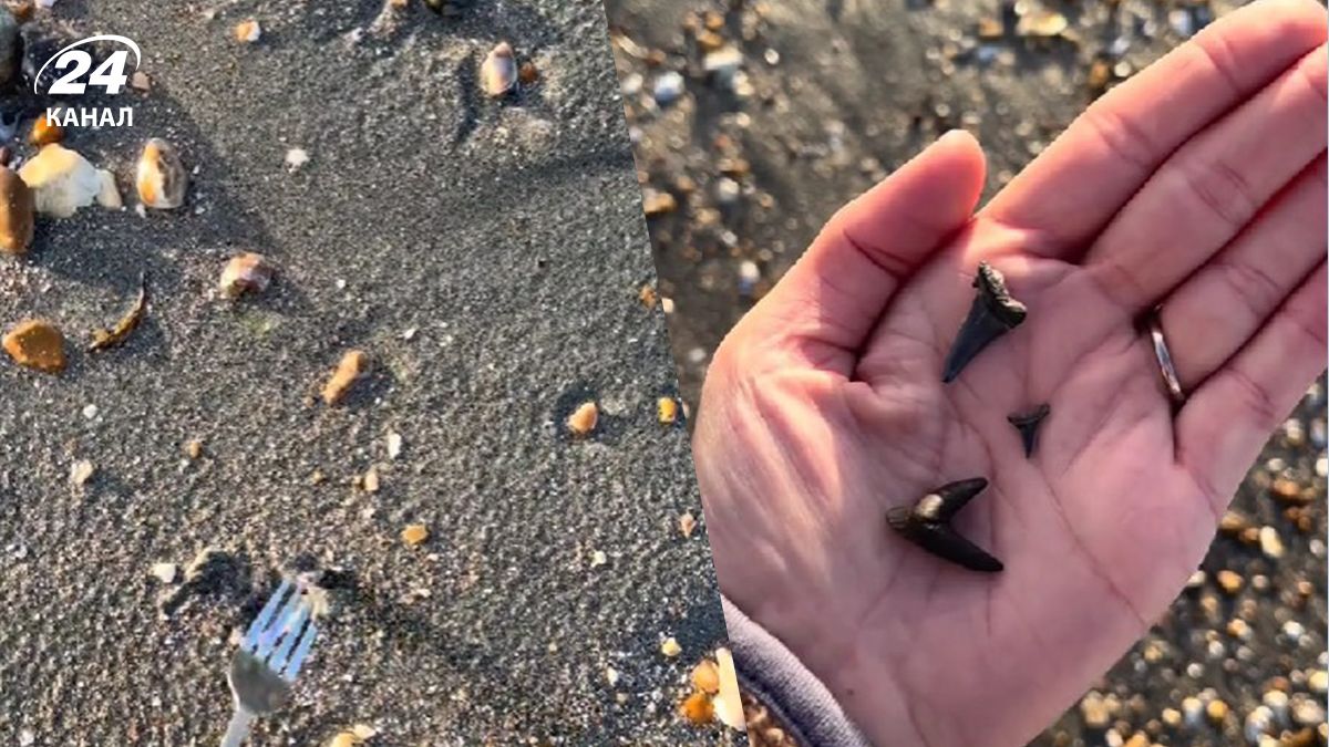 На южном побережье Англии туристы нашли доисторические сокровища На южном побережье Англии туристы нашли доисторические сокровища