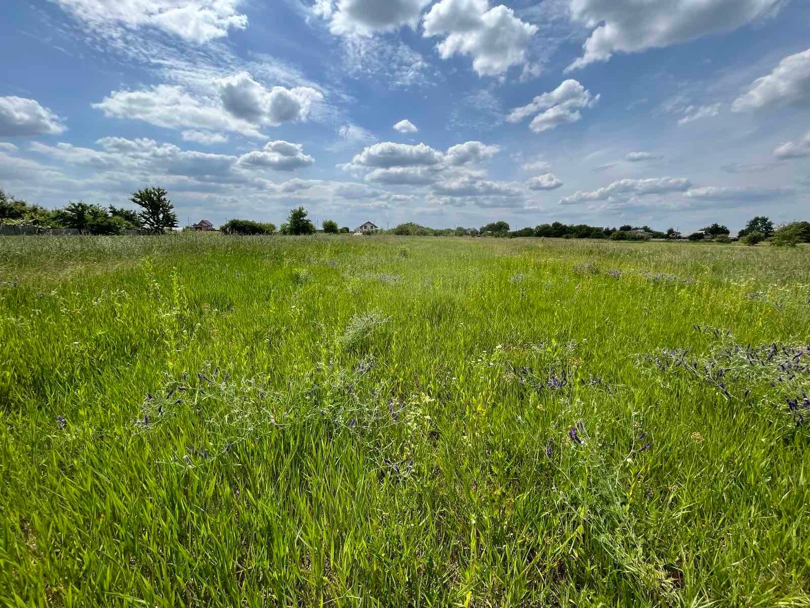 Хто не платить податок Хто не платить податок