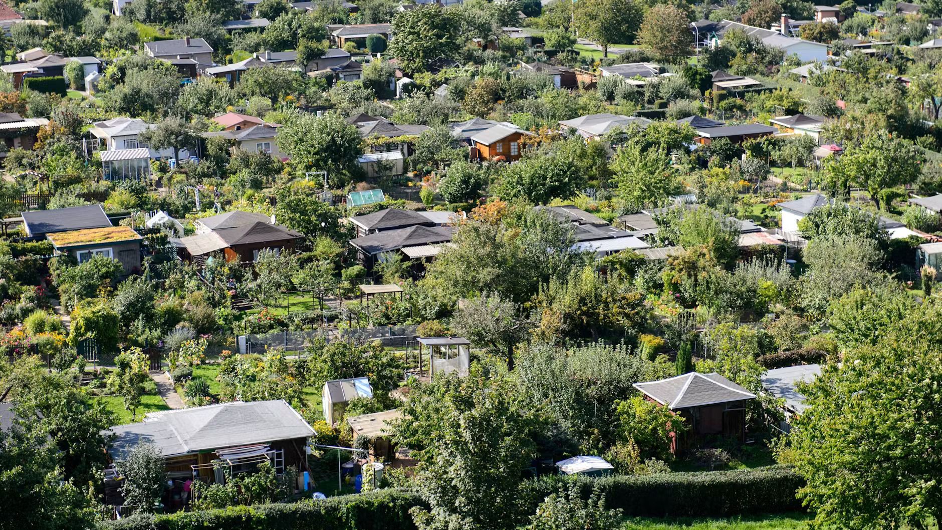 Немцы не могут ночевать на даче и даже иметь там душ - к чему эти запреты - Недвижимость Немцы не могут ночевать на даче и даже иметь там душ - к чему эти запреты - Недвижимость