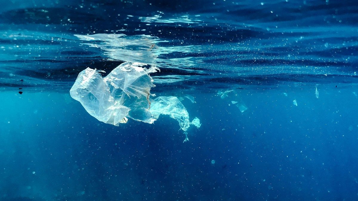 Найдены миллионы тонн нанопластика в Атлантическом океане Найдены миллионы тонн нанопластика в Атлантическом океане