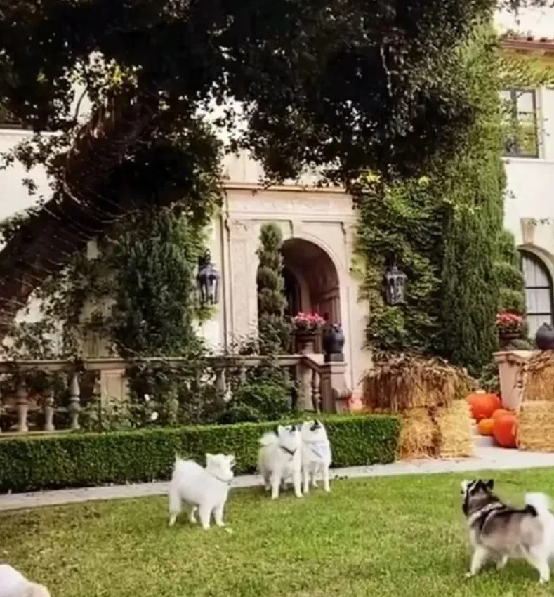 Двор в поместье Оззи Осборна Двор в поместье Оззи Осборна