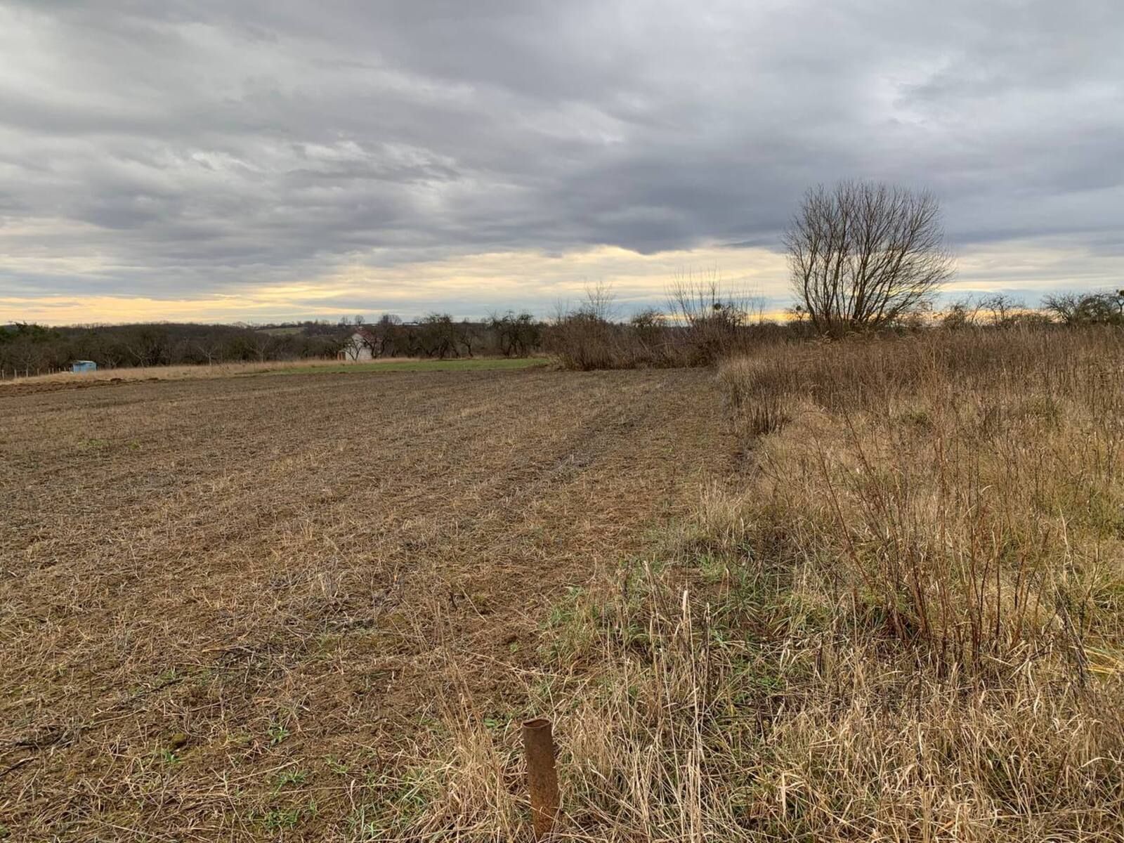 Как оформить огород