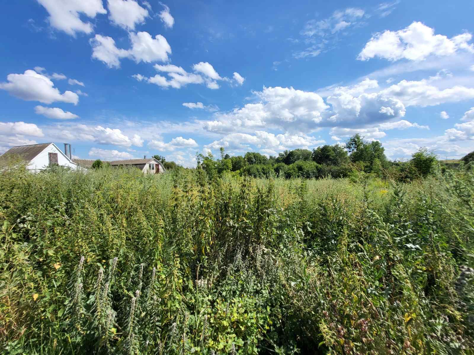 Как приватизировать землю Как приватизировать землю