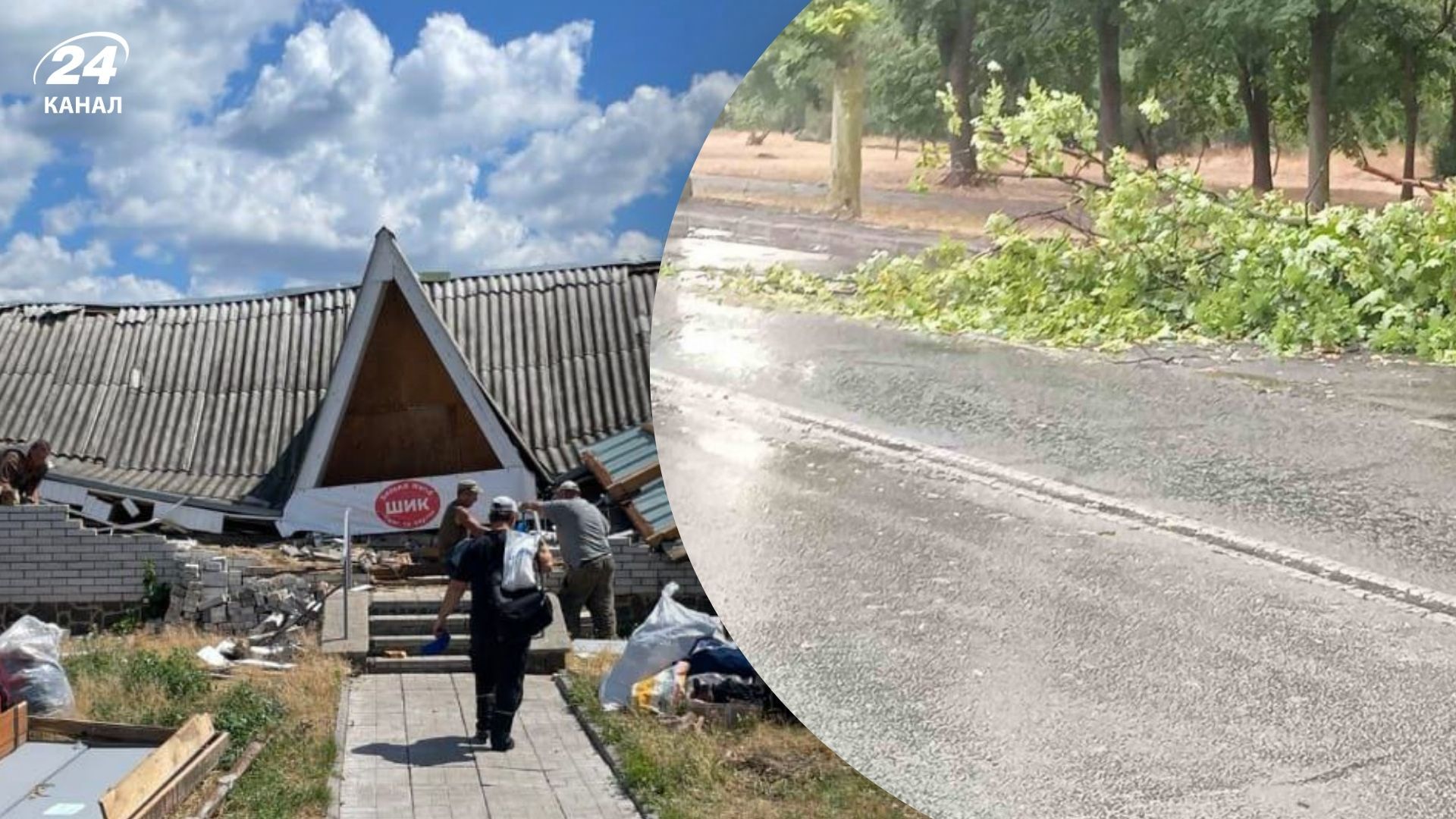 Сильний вітер повалив десятки дерев Сильний вітер повалив десятки дерев