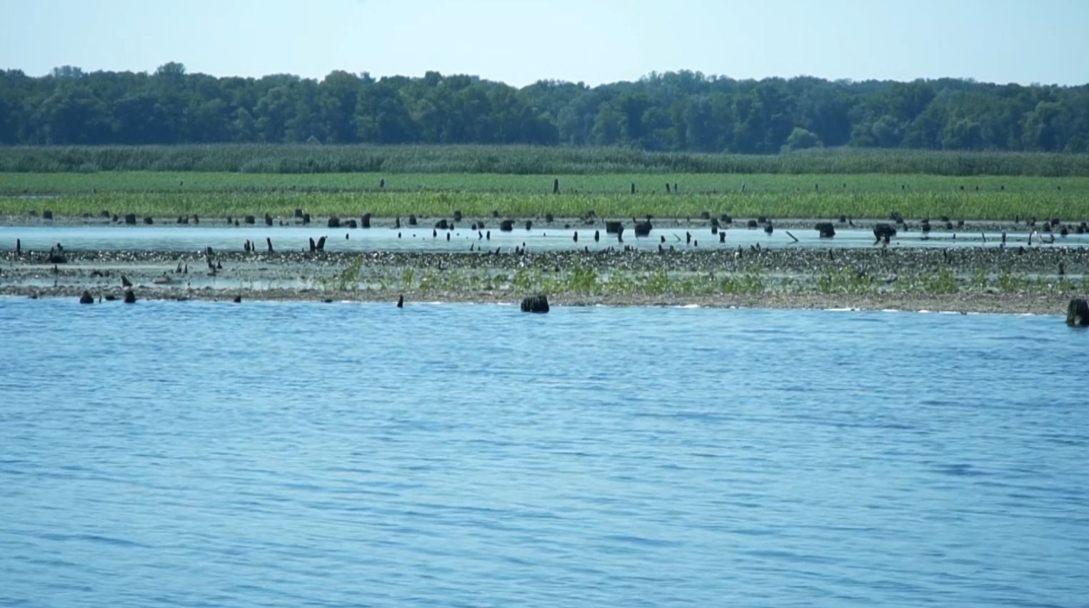 великий луг - Тренди