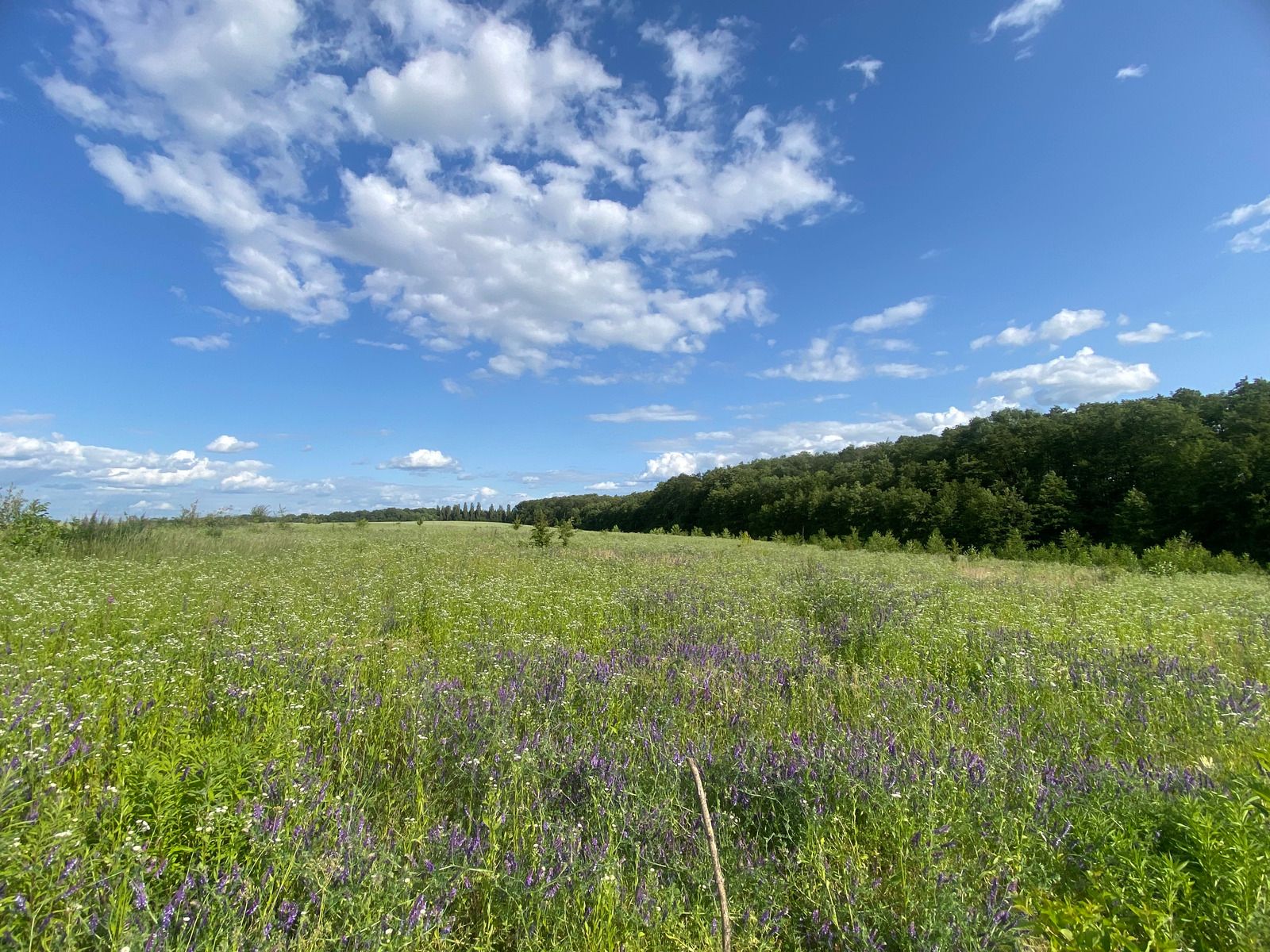 Який найменший термін оренди