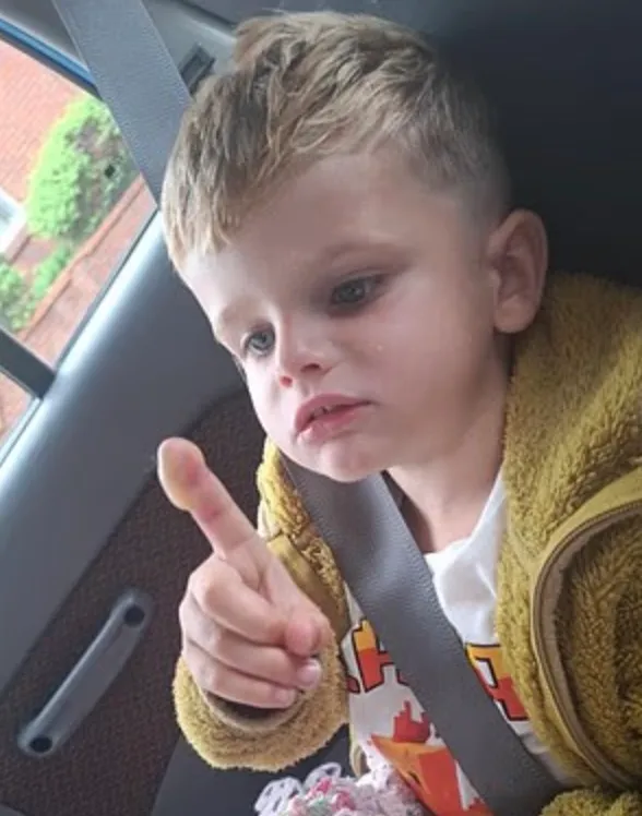 Бруклін після зіткнення з борщівником