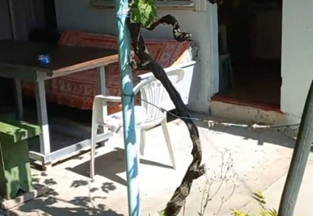 Який вигляд має бюджетне житло, яке здають в Одесі Який вигляд має бюджетне житло, яке здають в Одесі