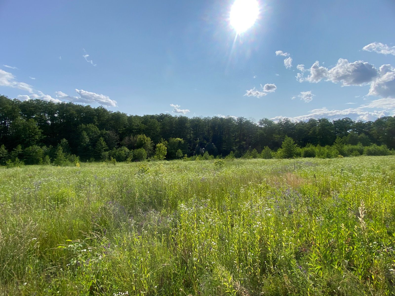 Как исправить ошибку с границами