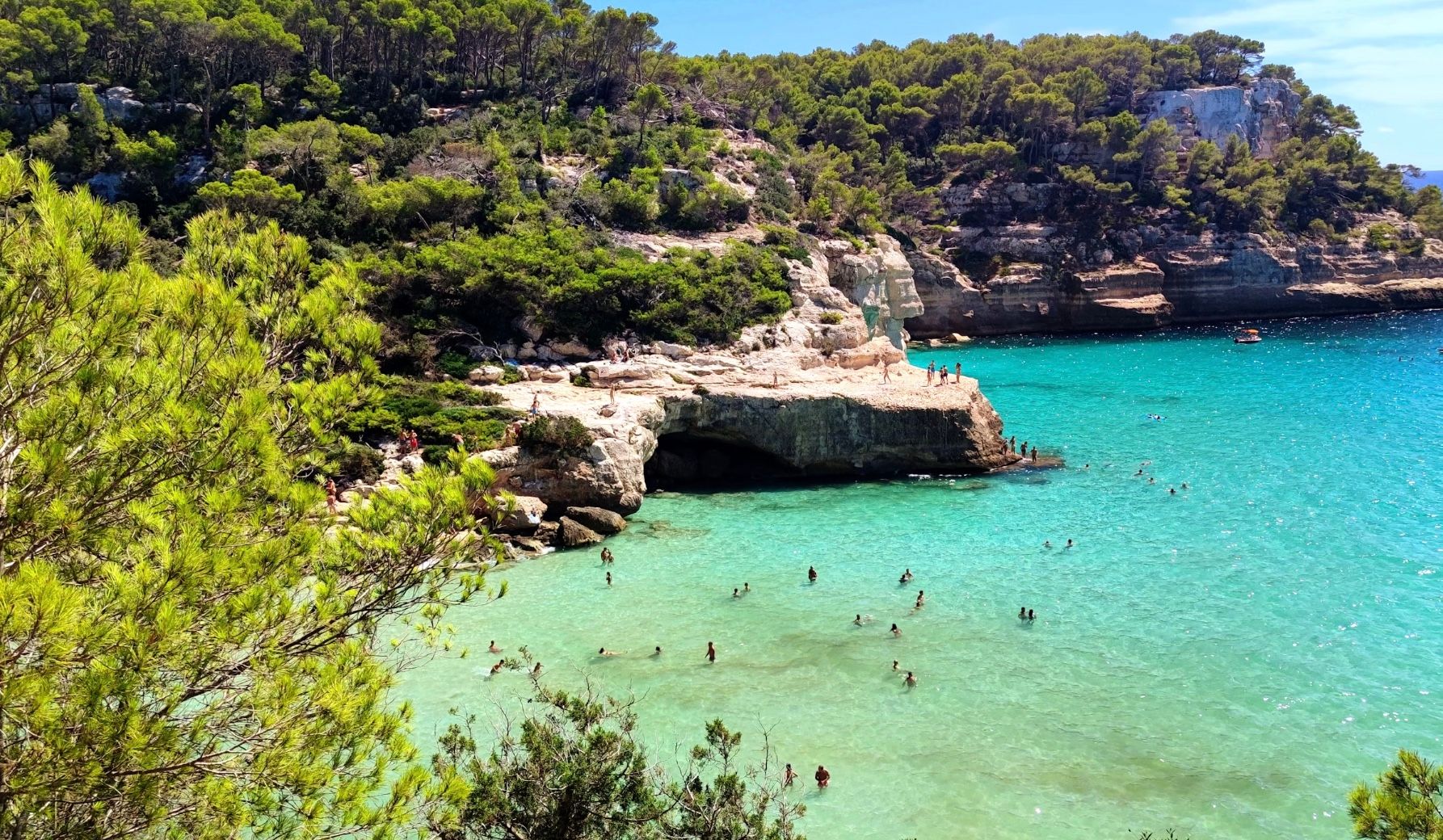 На Майорке временно закрывали популярный пляж из-за рыбы