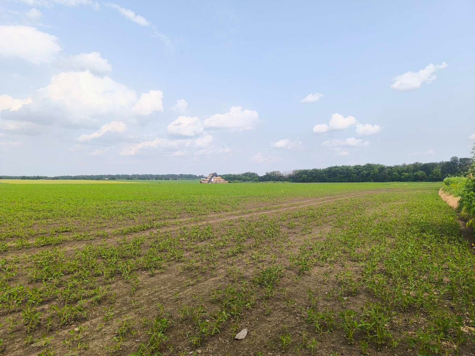 Как расторгнуть аренду