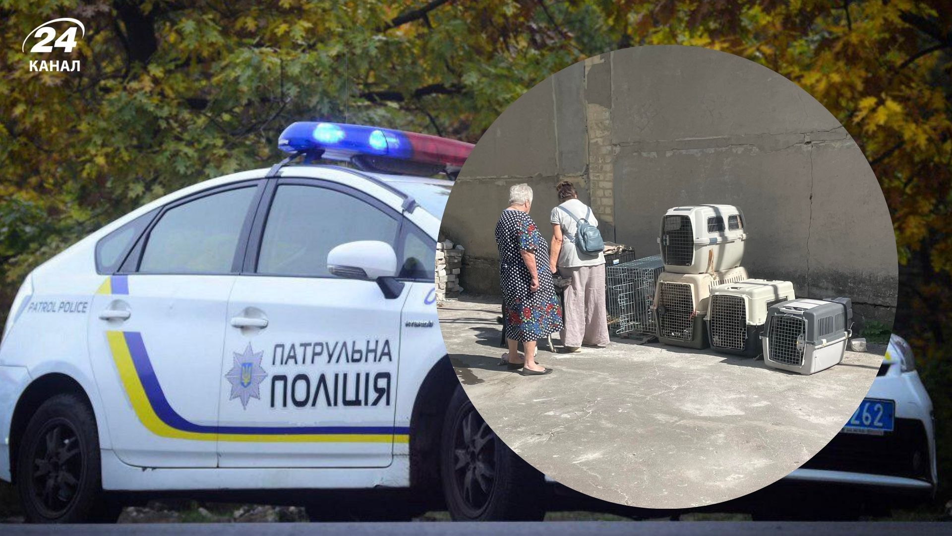 У Вінницькій області стався конфлікт між жителями та переселенцями з собаками У Вінницькій області стався конфлікт між жителями та переселенцями з собаками