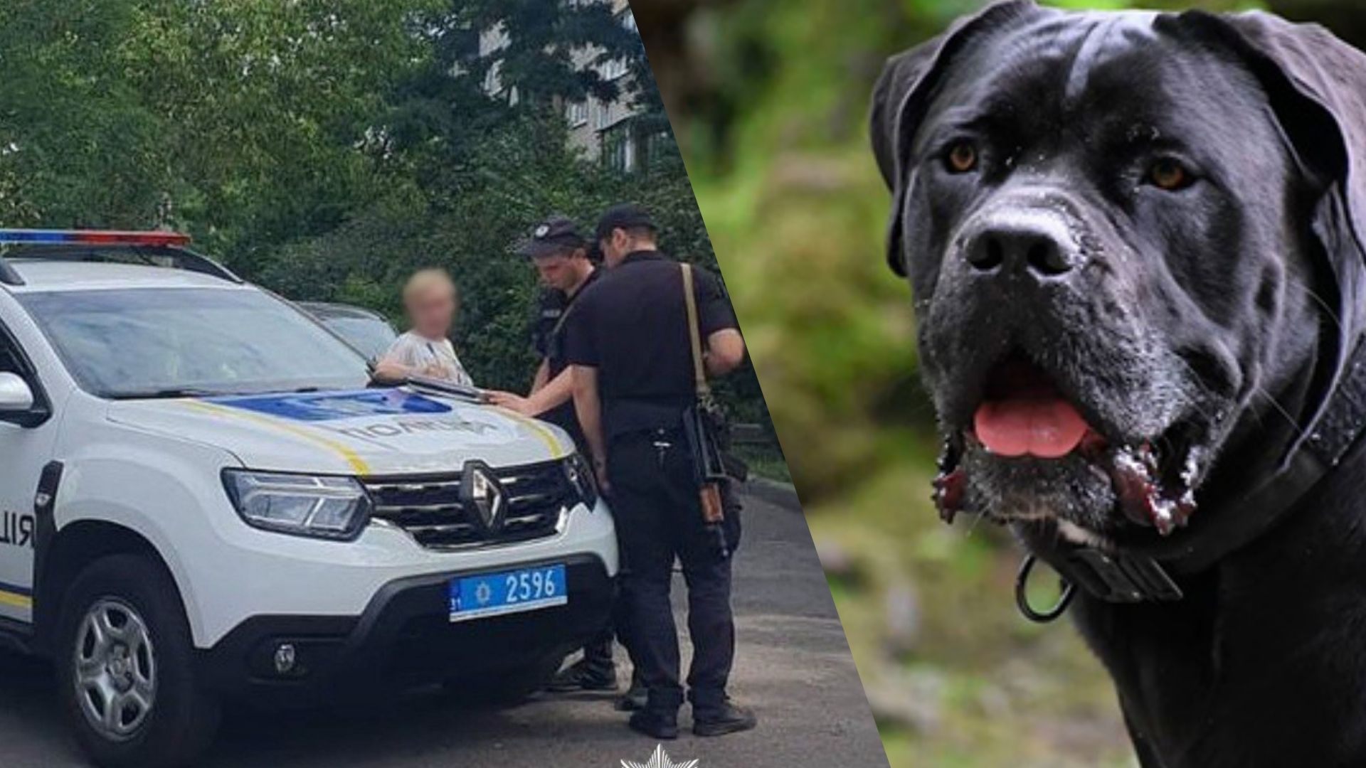 Собаки напали на женщину в Киеве