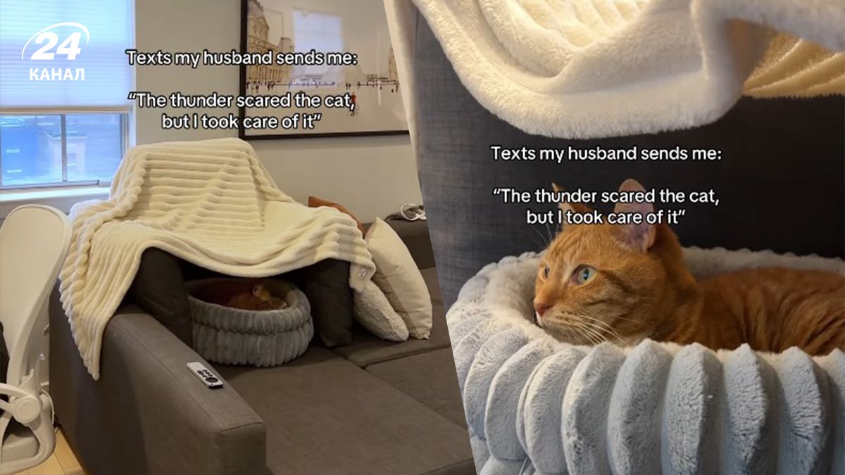 Мужчина решил успокоить кота во время грозы и построил ему крепость Мужчина решил успокоить кота во время грозы и построил ему крепость