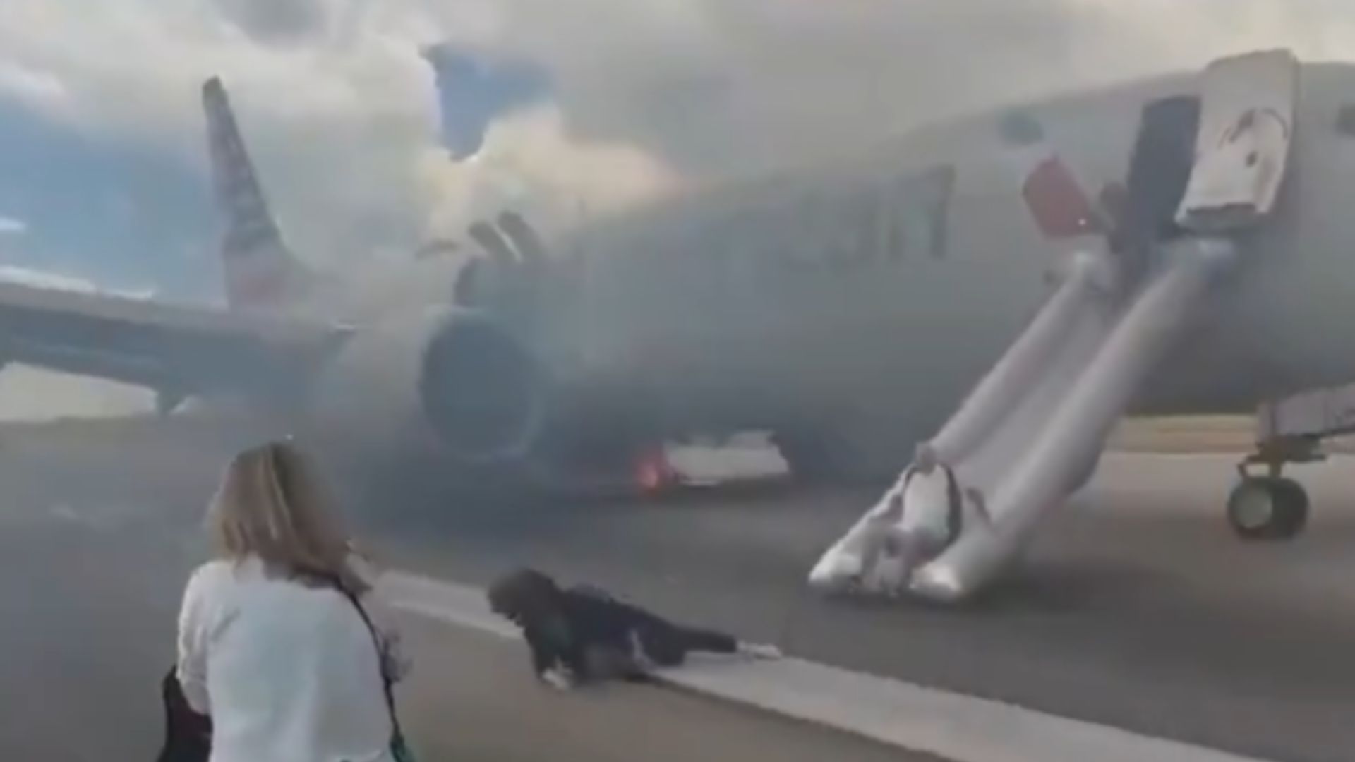 Эвакуация из горящего самолета Эвакуация из горящего самолета