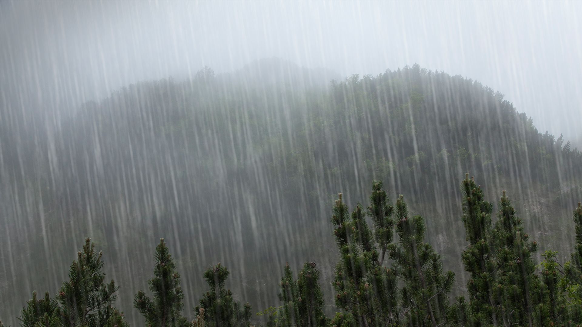 Погода в Украине 28 июля