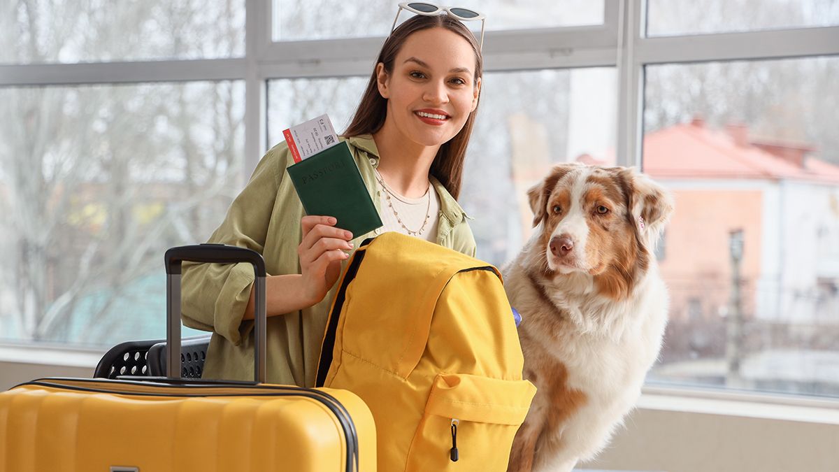 Пересечение границы с животными