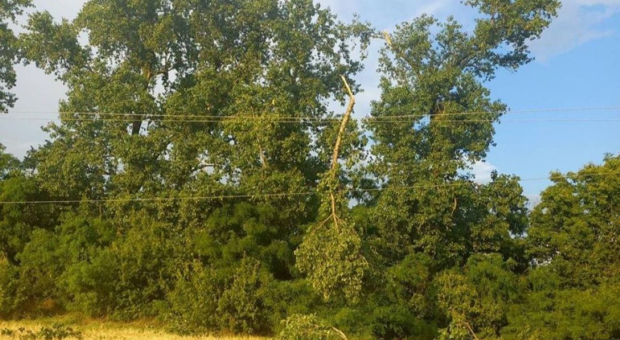 Отключение света на Киевщине из-за непогоды