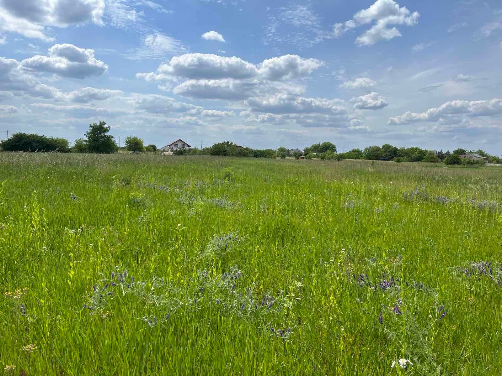 Кадастровый номер на землю Кадастровый номер на землю