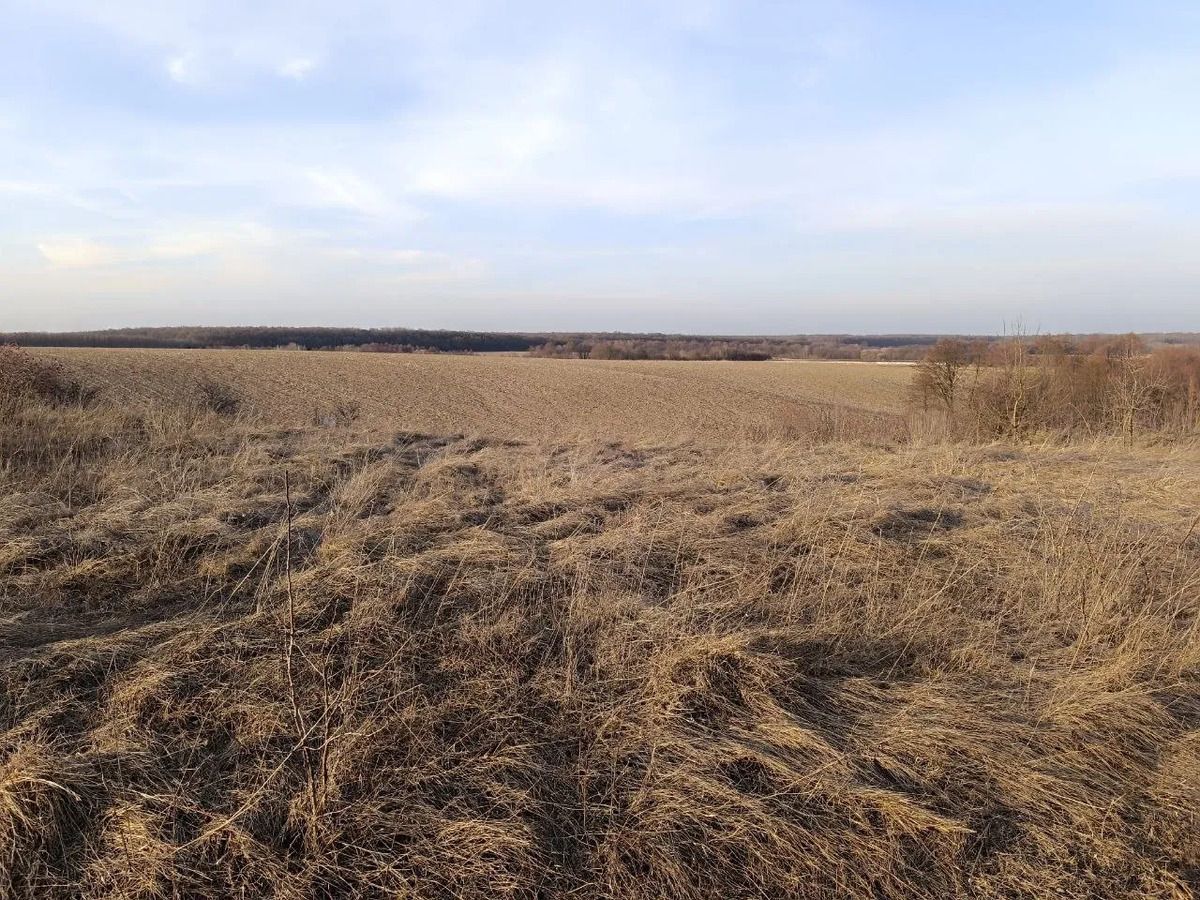 Як відбувається суборенда Як відбувається суборенда