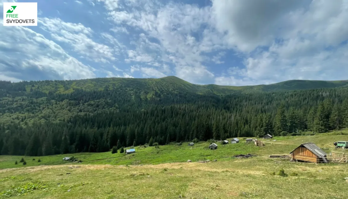 Полонина Крачунєска біля Драгобрату Полонина Крачунєска біля Драгобрату