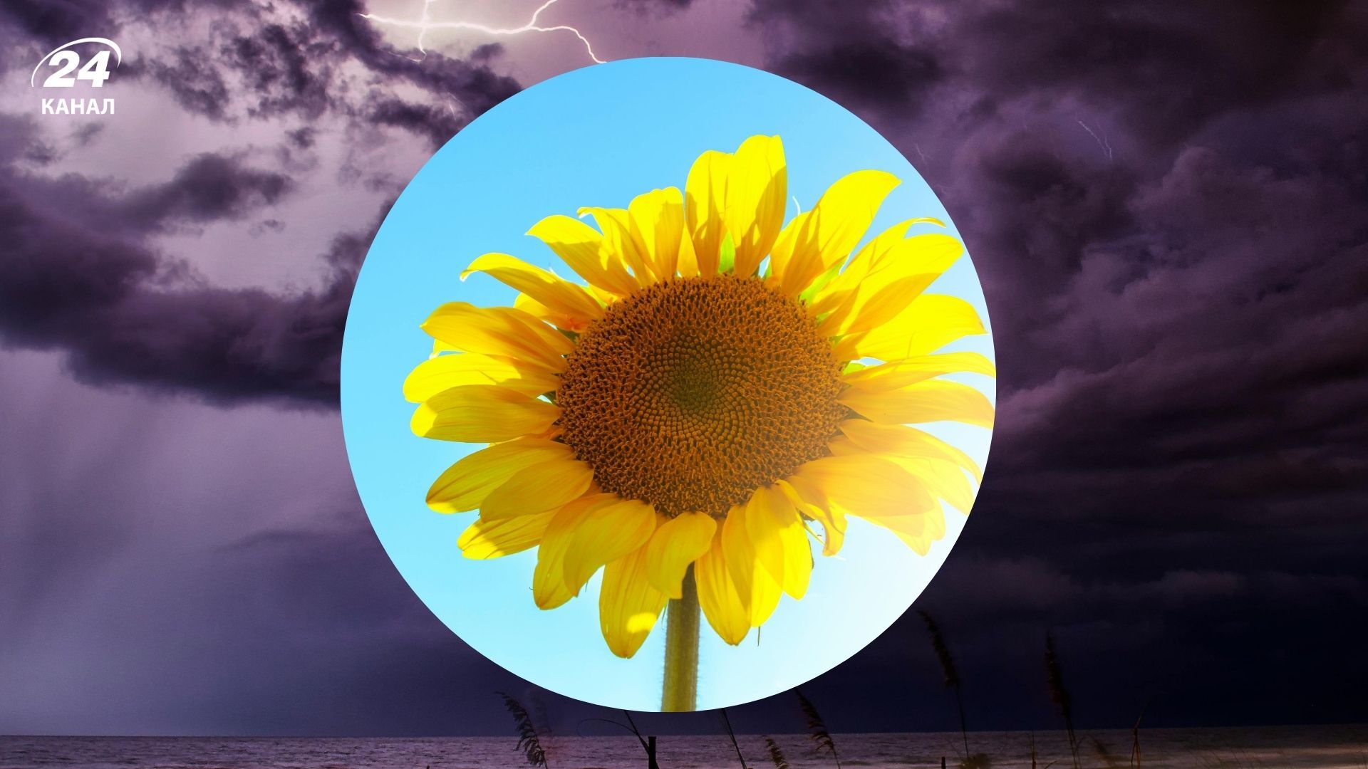 Прогноз погоди на завтра, 30 липня 2025