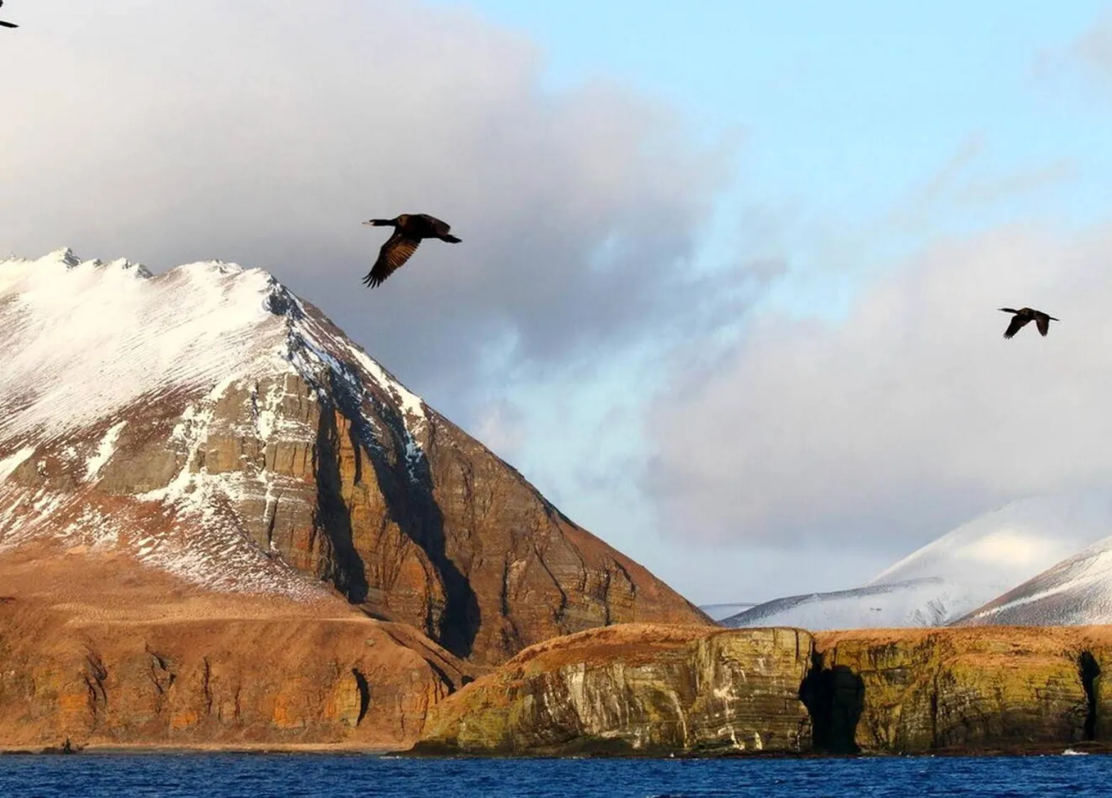 командорські острови командорські острови
