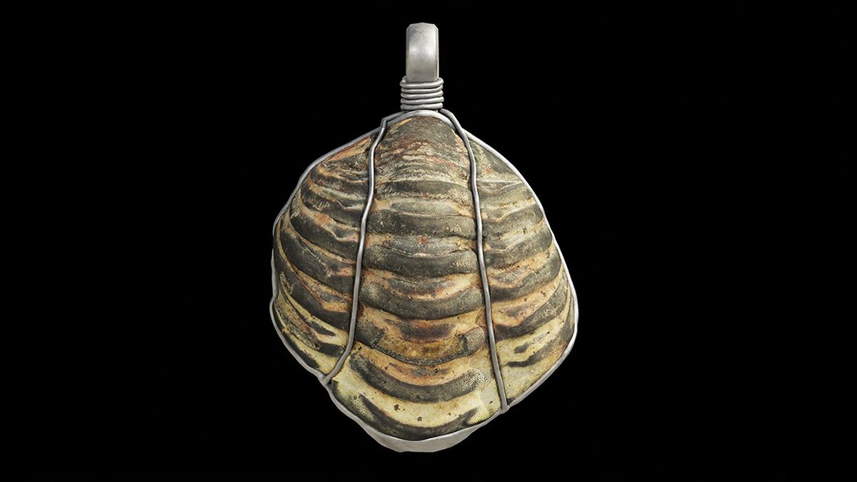 Скам’янілий трилобіт став амулетом у римському поселенні в Іспанії Скам’янілий трилобіт став амулетом у римському поселенні в Іспанії