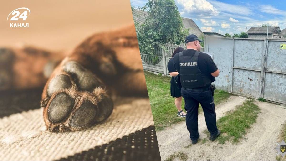 Поліція розслідує смерть собаки на Київщині