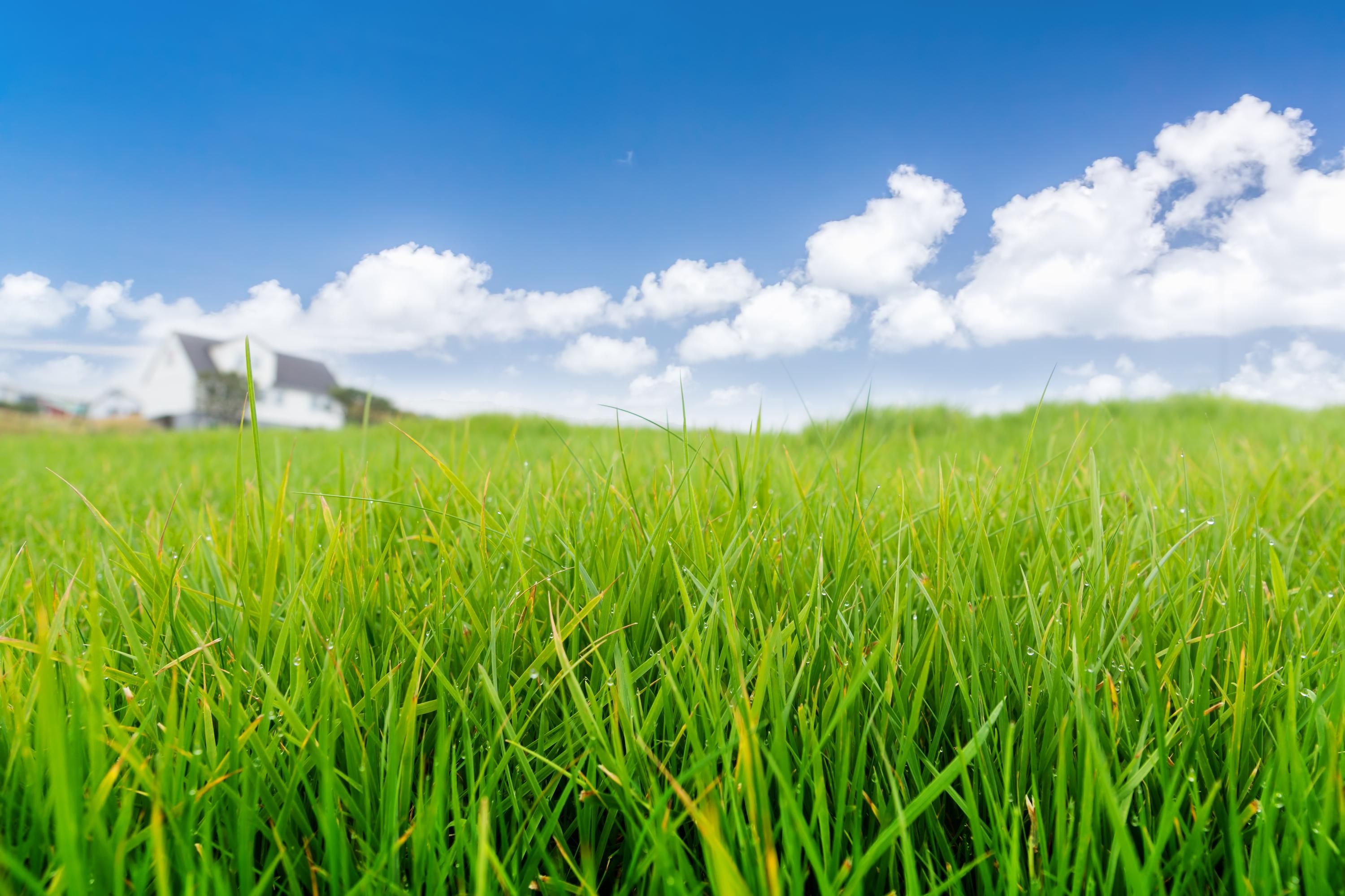 Як продати землю