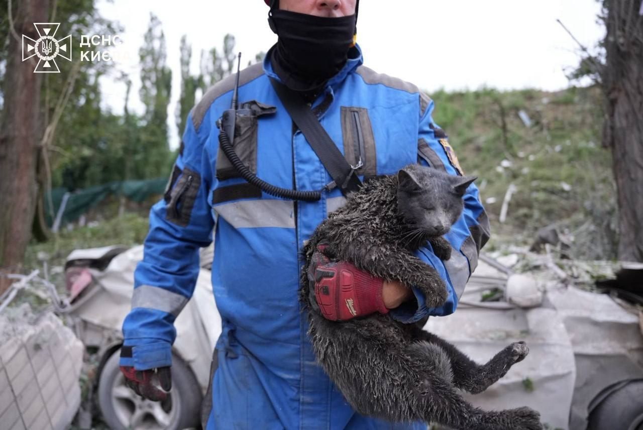 Спасатели доставали из-под завалов 9-этажки в Киеве животных Спасатели доставали из-под завалов 9-этажки в Киеве животных