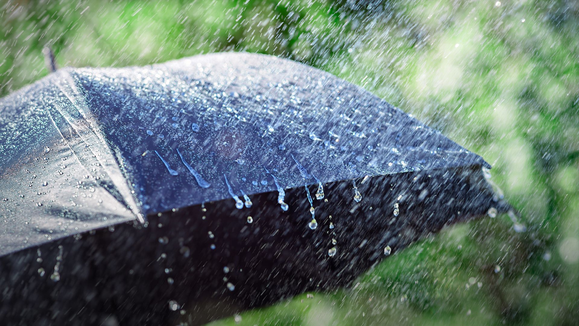 Де будуть дощі Де будуть дощі