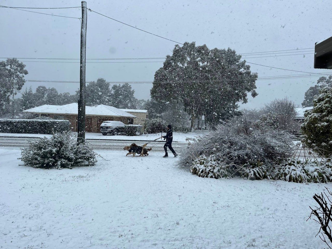 Австралию засыпало снегом