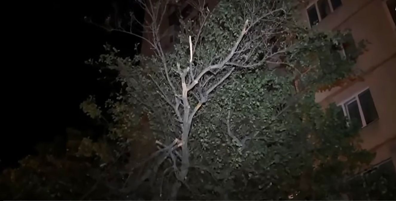 Дерево прикрило будинок під час удару БпЛА