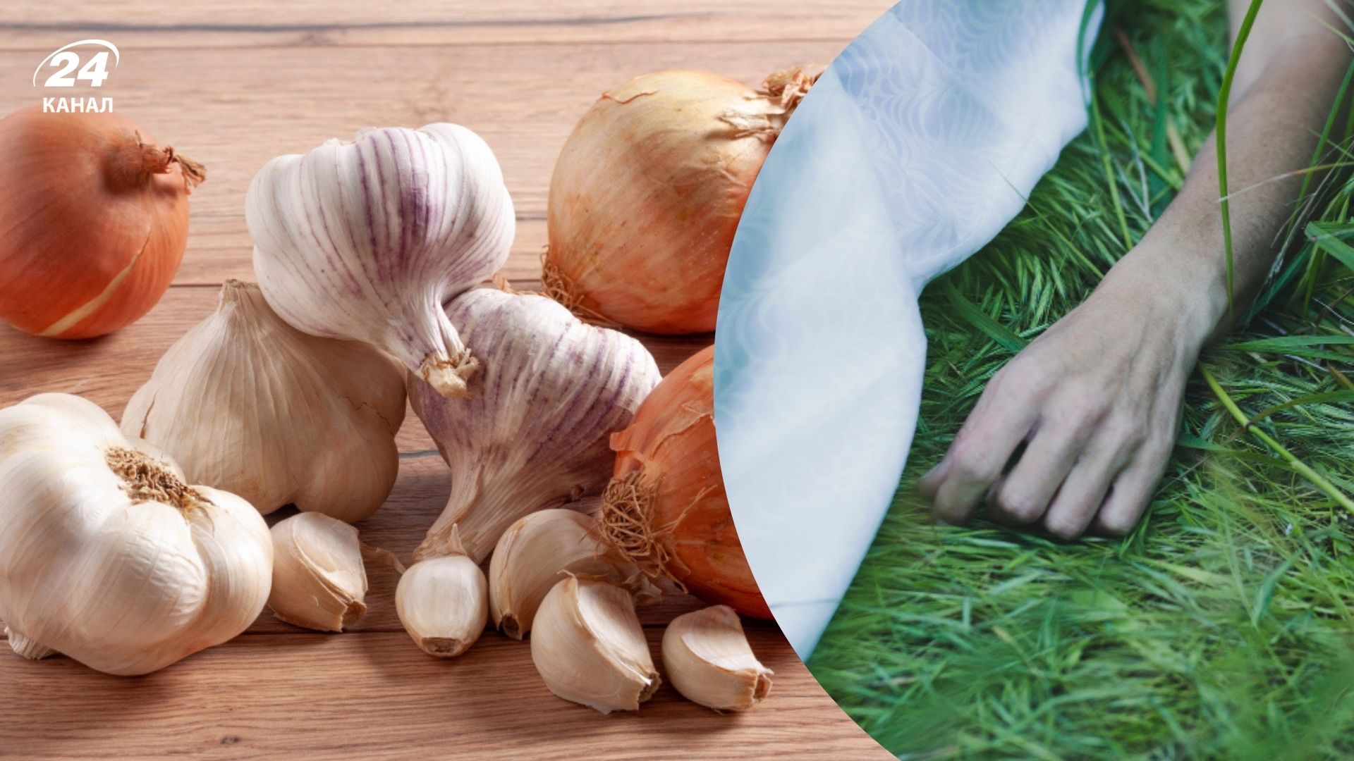 Чи можна копати часник і цибулю, якщо в селі покійник