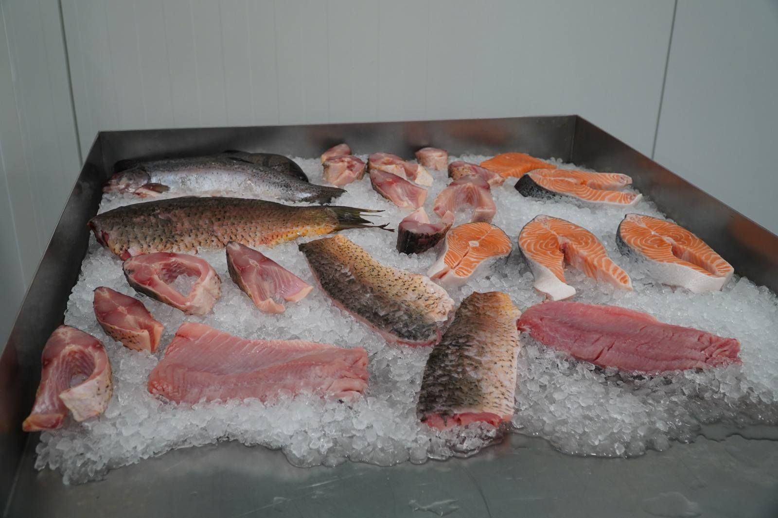 На Львівщині відкрили новий завод На Львівщині відкрили новий завод