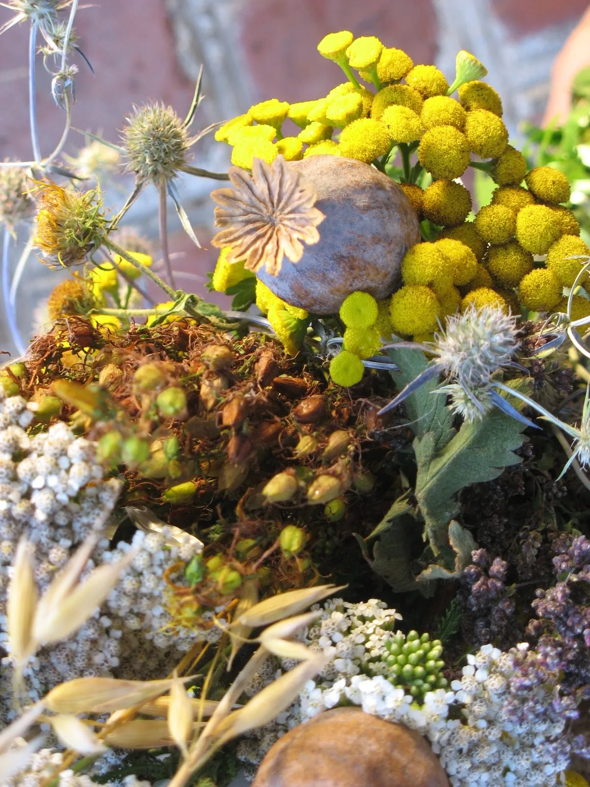 Букет маковійчик