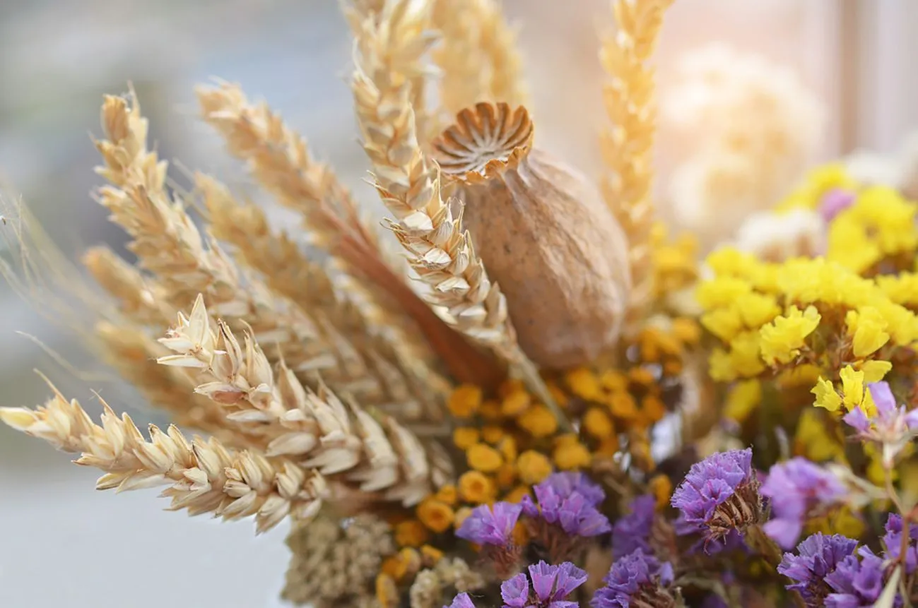 Букет маковійчик Букет маковійчик