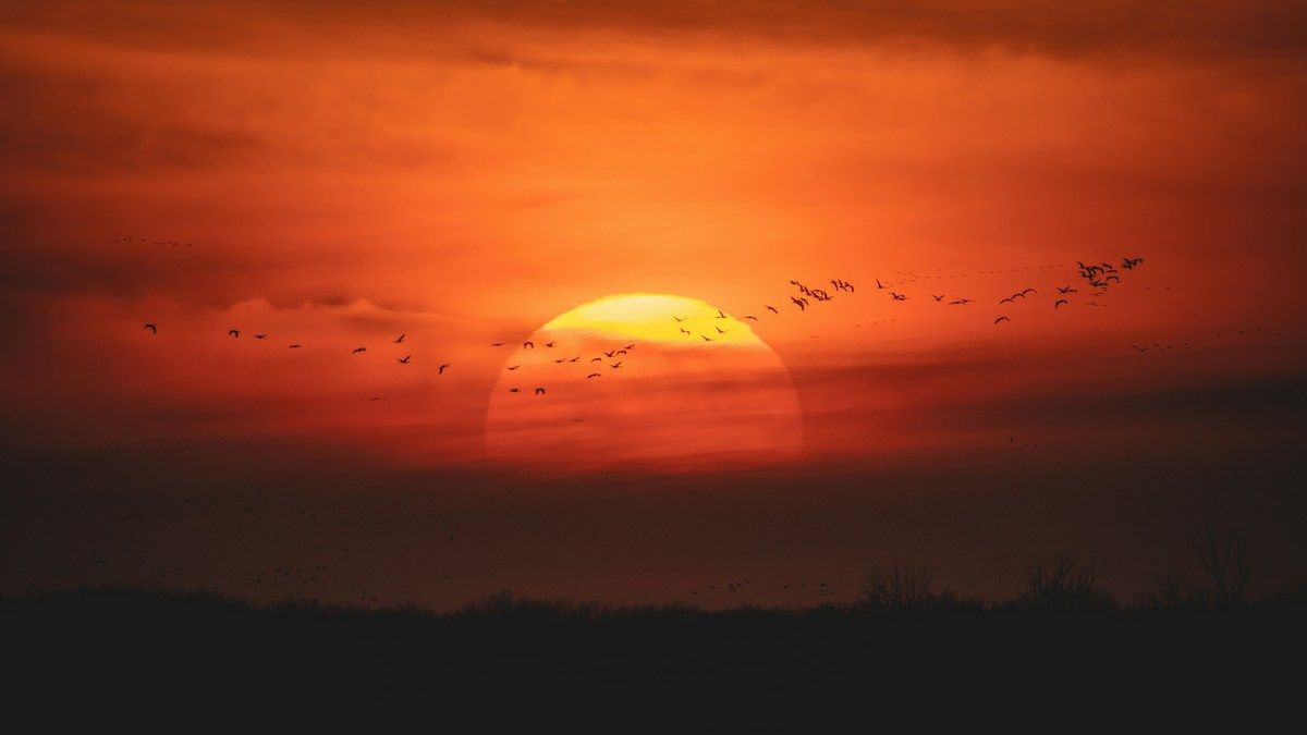 Магнитные бури в августе 2025 - календарь